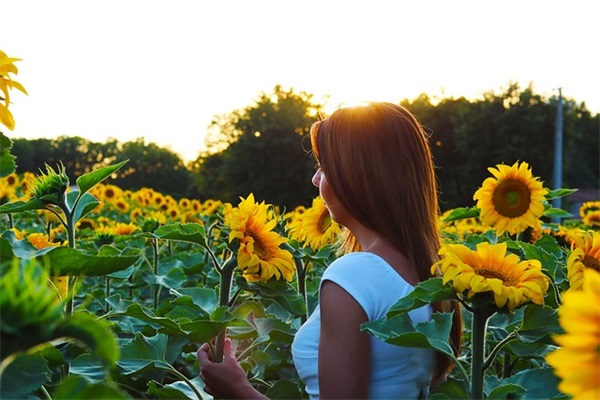2025带点诗意五行缺木的女孩名字