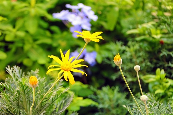 龙年男孩子名字大全,龙年宝宝男孩名字大全