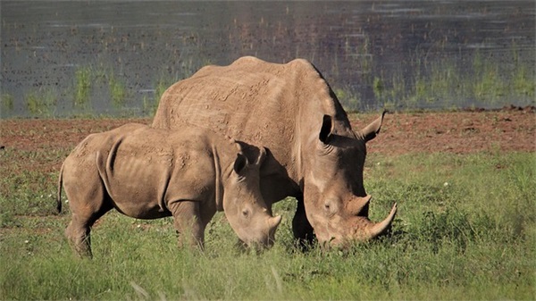 萌点洋气点的小名2025