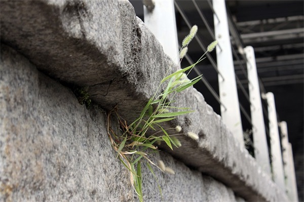 有内涵的霍姓女孩名字