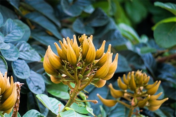 一听就惊艳的游戏名字,最吸引人的游戏名字