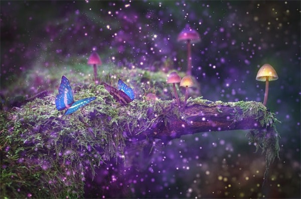 好听的女孩名字温婉大气