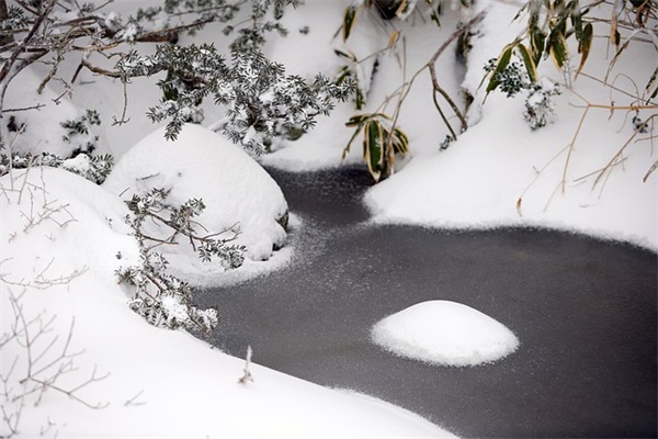 女宝宝取名字大全2025最新版