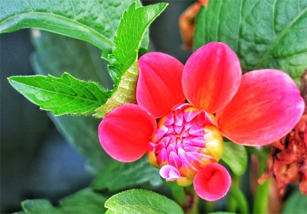 好听洋气的男宝宝名字大全