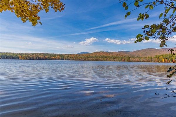 女孩响亮文雅的名字