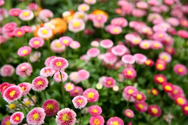 小孩名字大全男免费