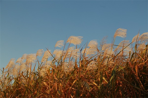 如何为小孩取名字,时尚帅气的宝宝名字大全