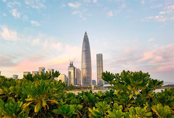 龙宝宝取名起名：诗经楚辞里好听顺口的男女孩名字