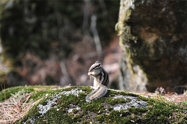 男孩名字大全：汤姓男孩起名案例及分析