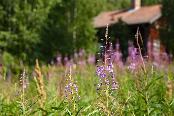 女孩取名寓意健康平安