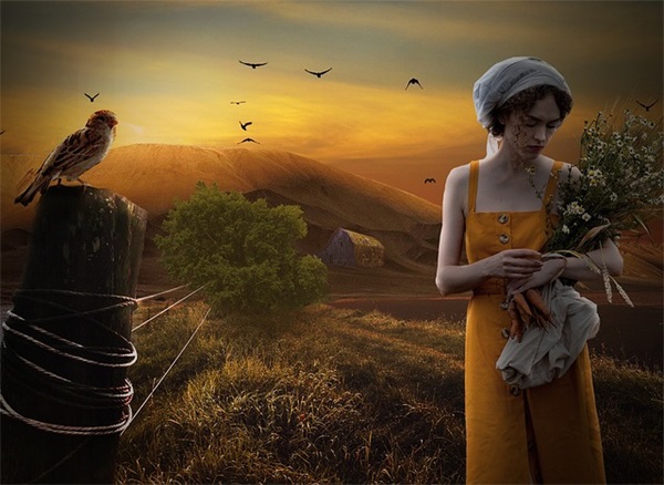 秦姓方字辈起名