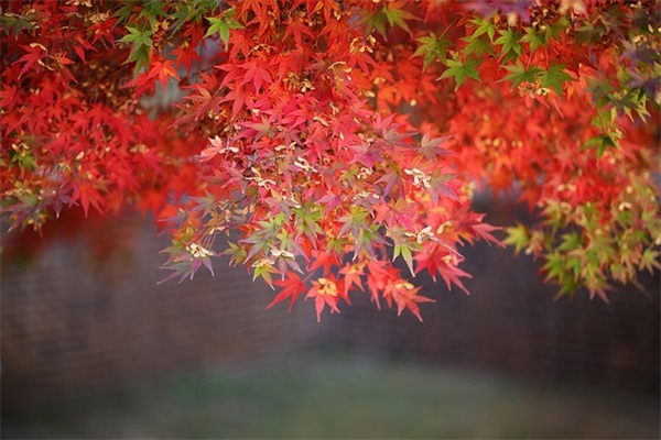 钱姓男孩名字大全2025属龙