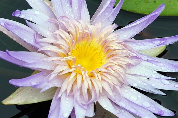 蕴藏深厚意义的优质好名，让你眼前一亮！