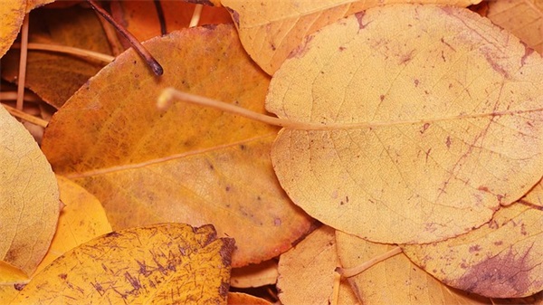 如何为新生宝宝起名