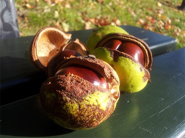 励志劝学的名言51句