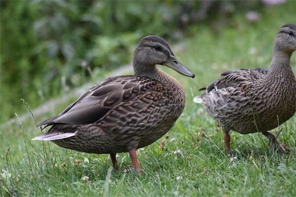 名人名言节约72句
