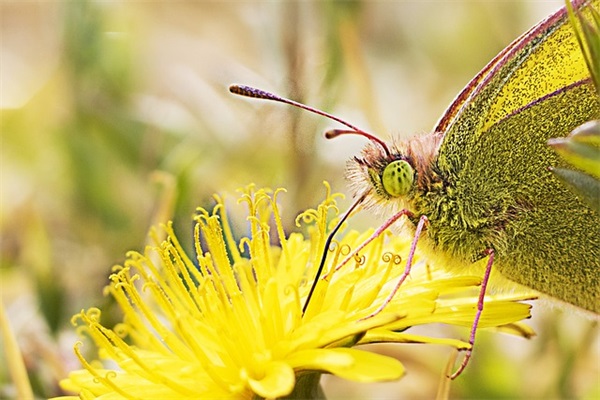 初三期末励志名言82句