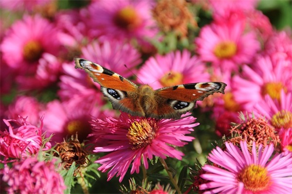 医院名言名句82句