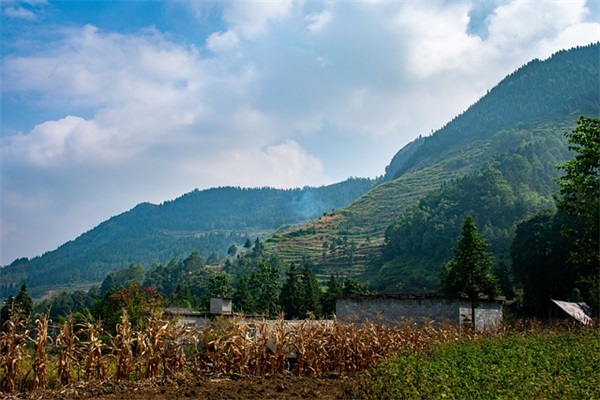 刘向的名言警句79句