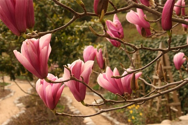 数学名言座右铭55句