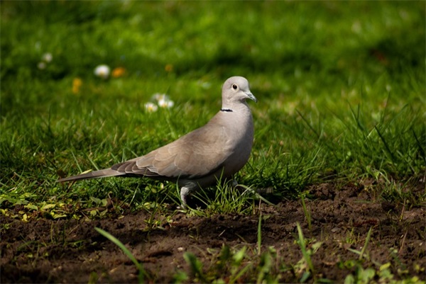 勤学励志的名言85句