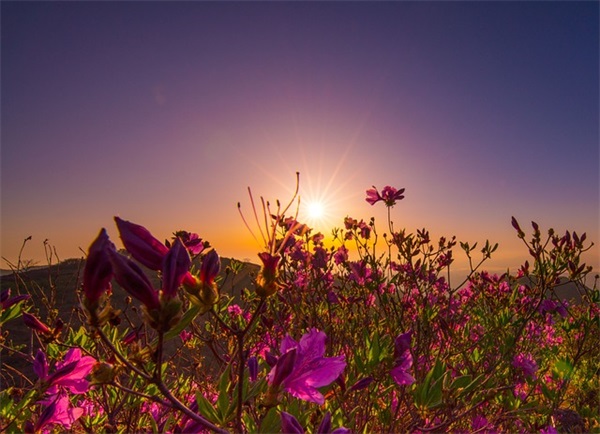 徐志摩爱情名言44句