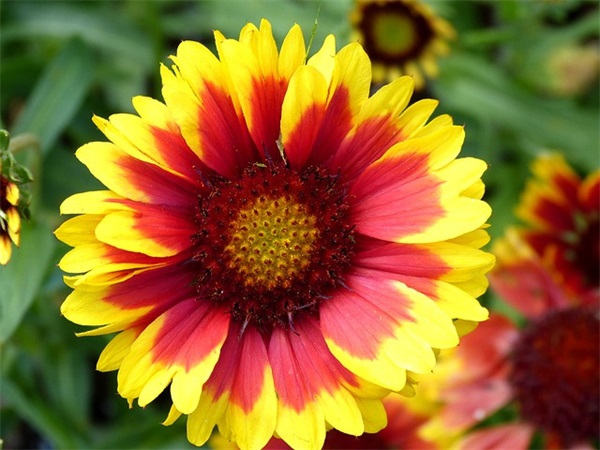 鼓励困境中的人的名言警句(遇到困难的名言警句)