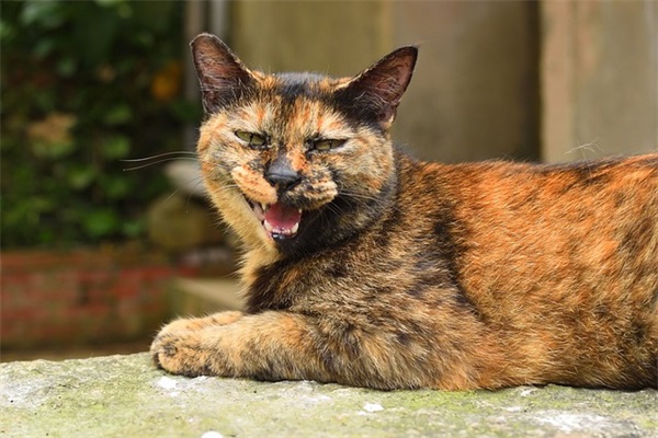 交通名言警句93句