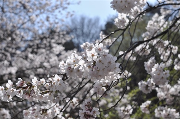 2025年做人的名言警句