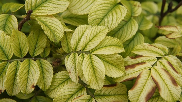 关于体育的励志名言54句