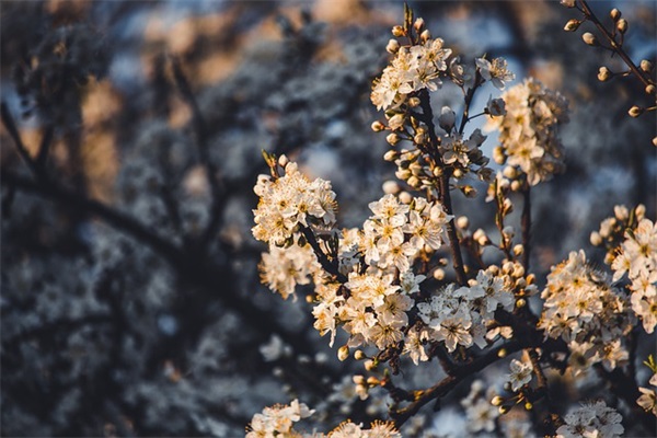 逆境的名言警句50句