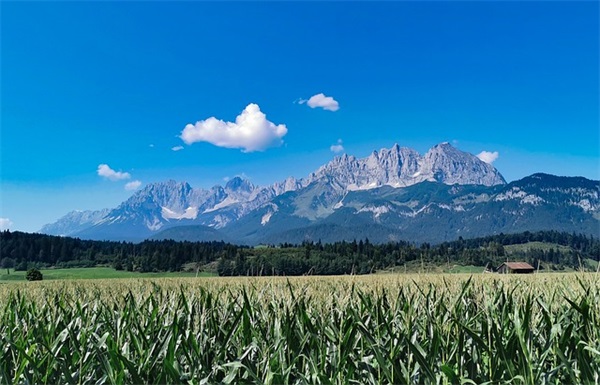 关于节俭养德名人名言
