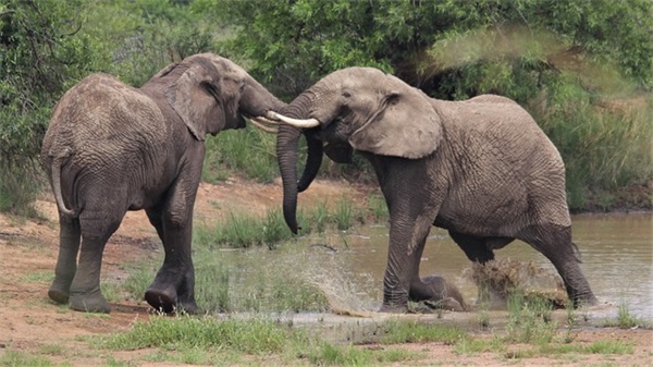 孝老爱亲名言警句82句