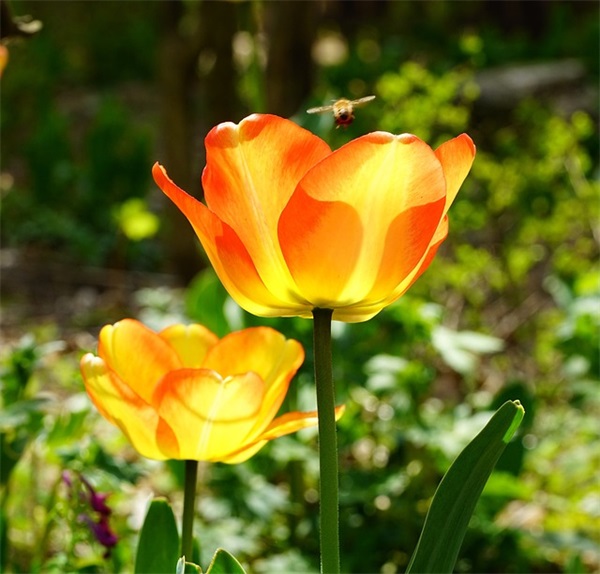 激励初中生的名言84句 激励初中生的名言84句