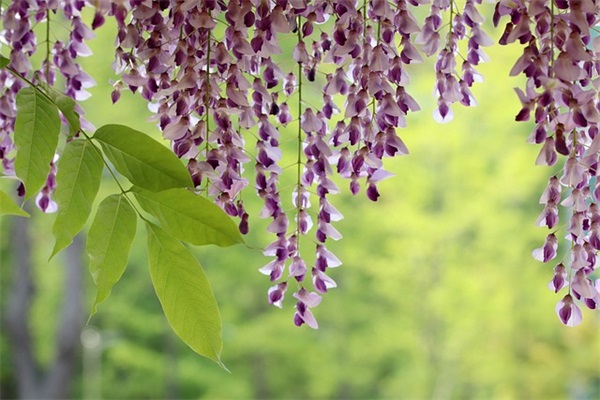 字的名言佳句有什么 关于元旦的名言佳句