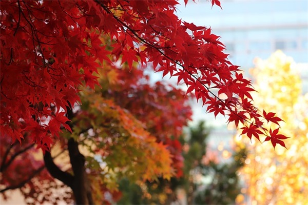 最新的宽容的名言大全 宽容的名言大全