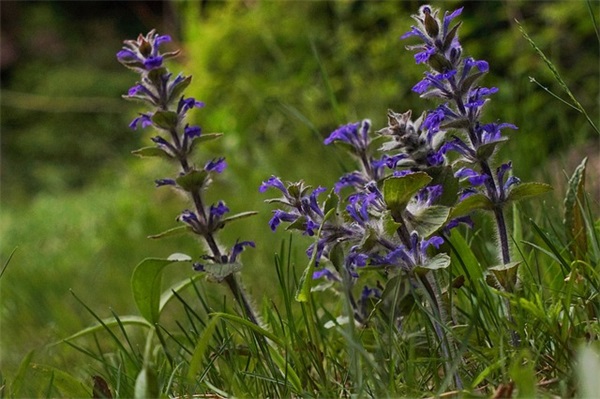 列宁名言名句56句