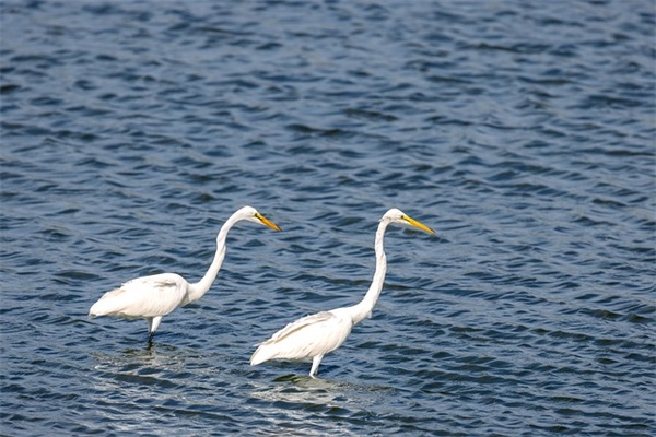 卢梭忏悔录名言33句