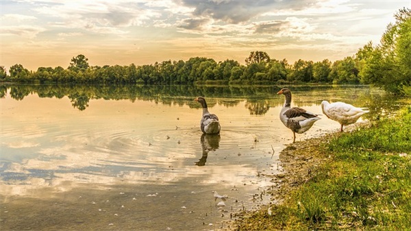 烈士纪念日向烈士致敬的名言 烈士纪念日基本礼仪