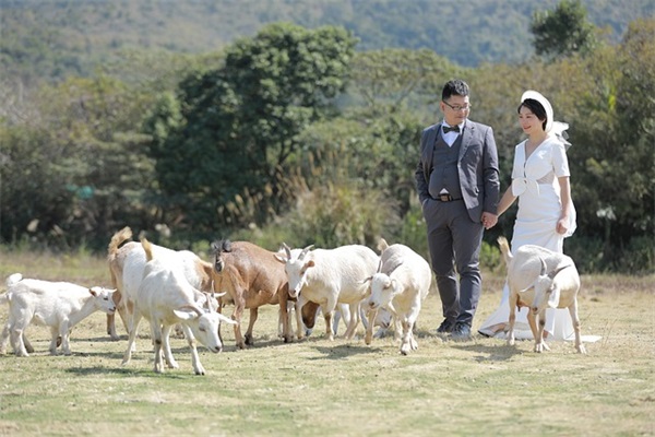 绿色环保名人名言84句