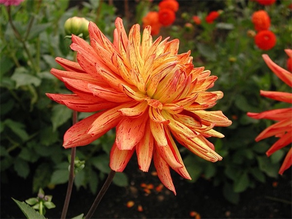 有关为人处世的名言82句