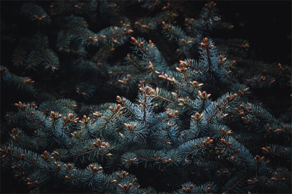 雷锋说过的名言警句33句