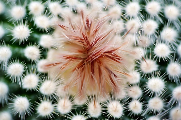 中华美德名言警句75句