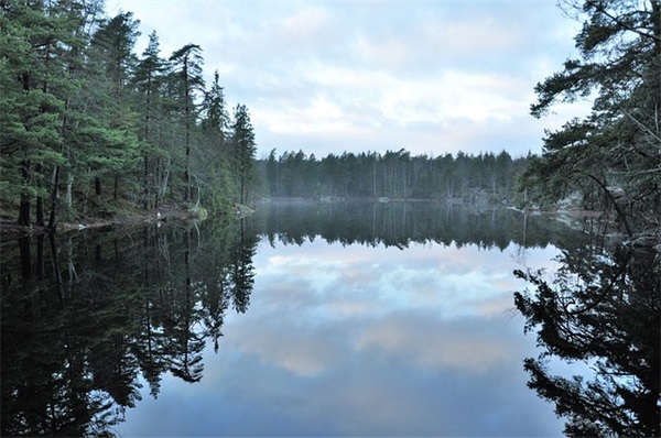 思念爱情的句子经典名言