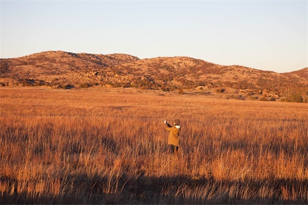 刘向的名言大全80句