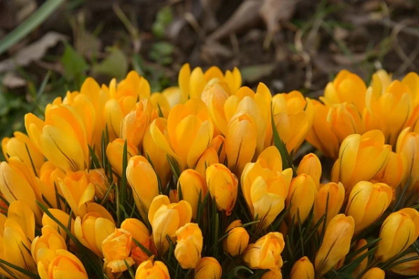 关于有爱心的名言名句 关于有爱心的名言名句