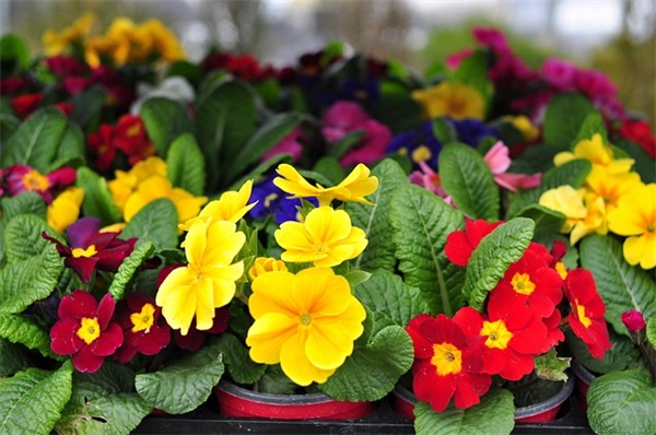 关于商业的名言名句 关于诚信经商的名言名句 关于商业的名言名句 关于诚信经商的名言名句