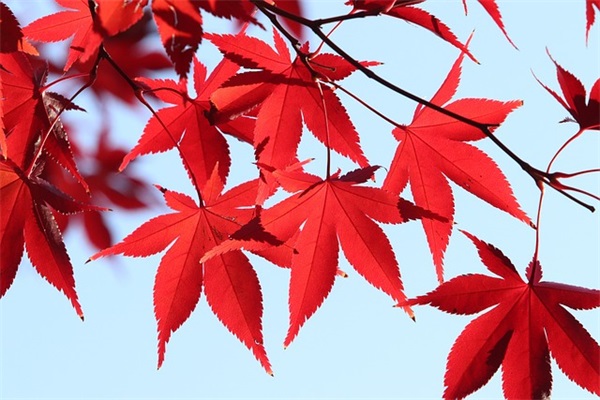 人生哲学励志名言 人生规划励志名言