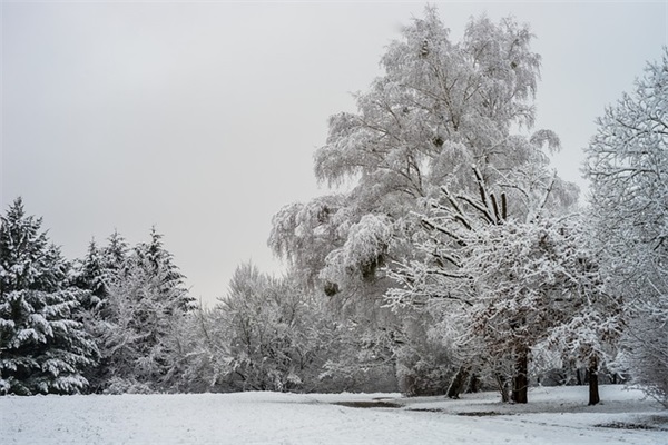 最新的别林斯基名言大全 别林斯基名言