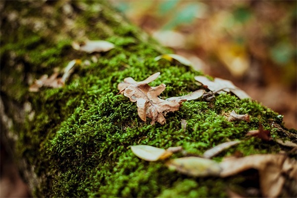 初三学生名言82句